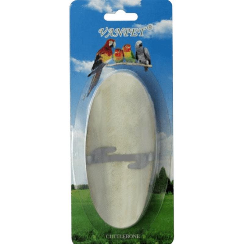 Cuttlefish Bone Large in Carton L15cmx6cm