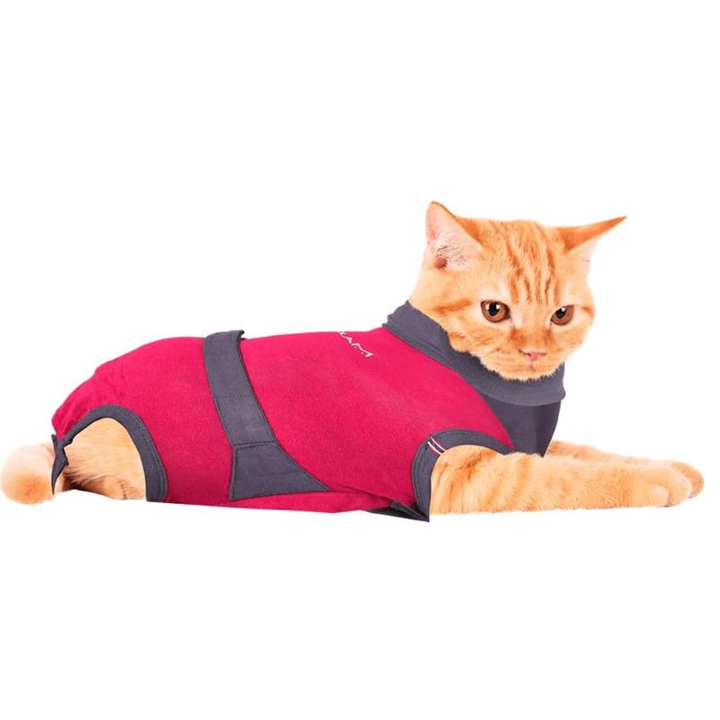 MAXX Cat Post Surgery Suit 2XS