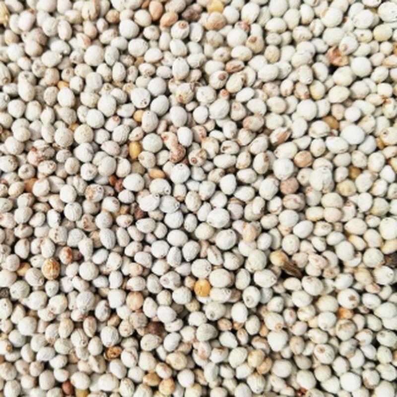 Pet Cup Perilla Seeds 500gr