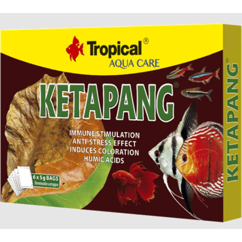 Tropical Ketapang 6x5gr Bags