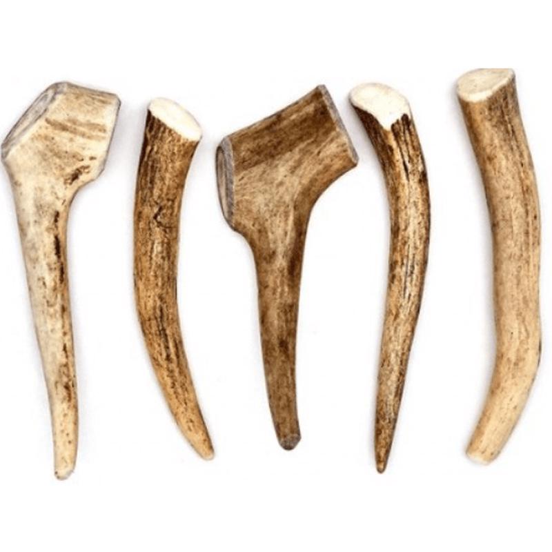 Wild Red Deer Antler L 85-125gr