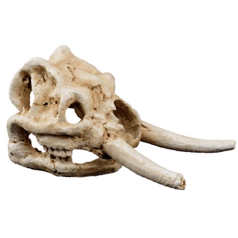 Elephant Skull Decor 25.5x12x13.5cm