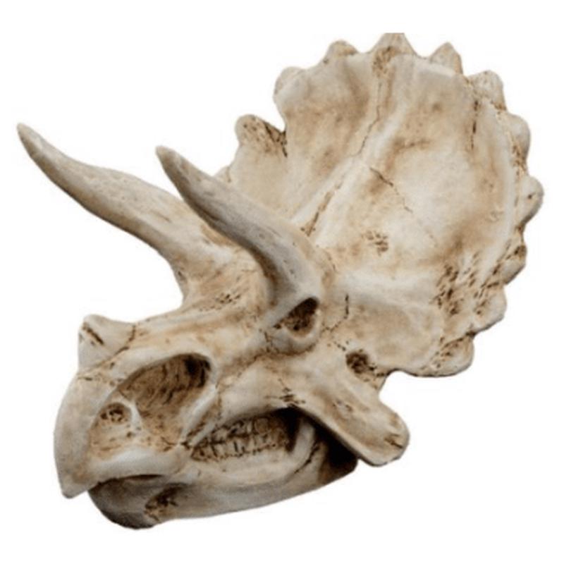 Triceratops Dinosaur Skull Decor 15.5x11.5x11cm