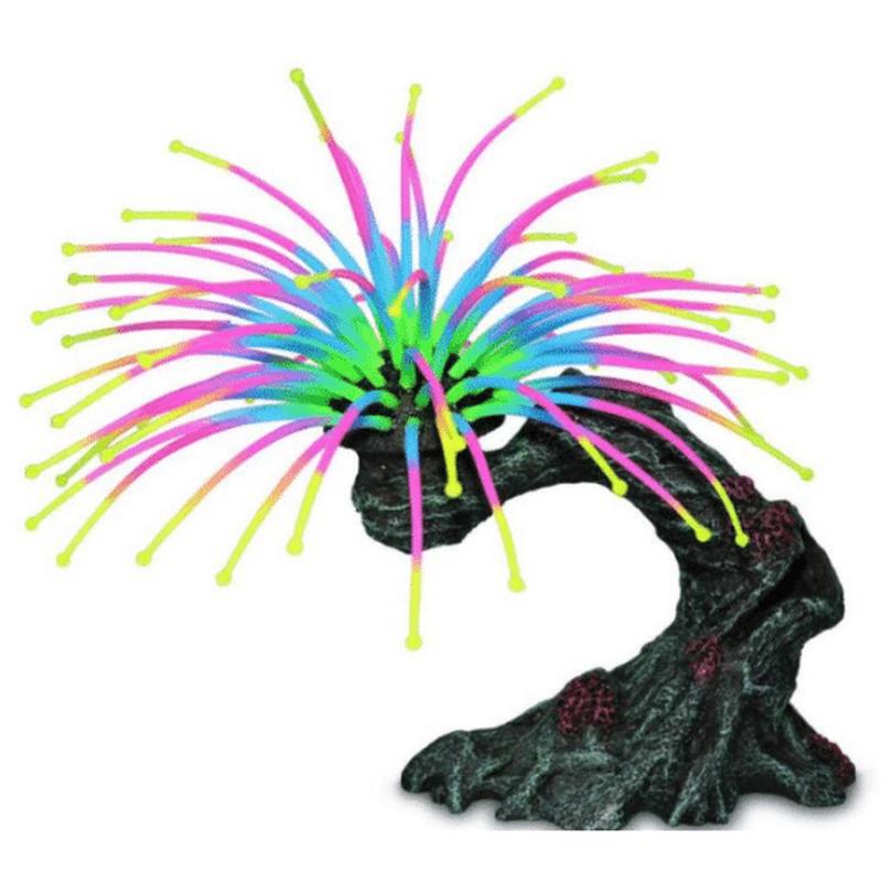 Worm Feather Duster Aquarium Decor 12x6.5x10cm