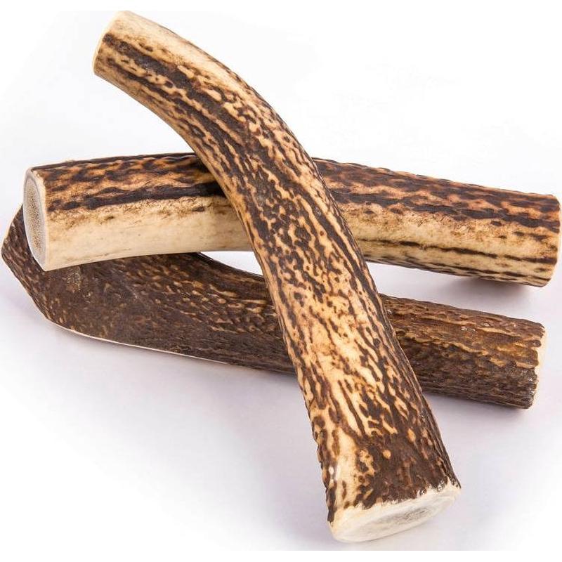 4 Dogs Original Hard Deer Antler Chew for Dog Size XL 18cm 90-136g