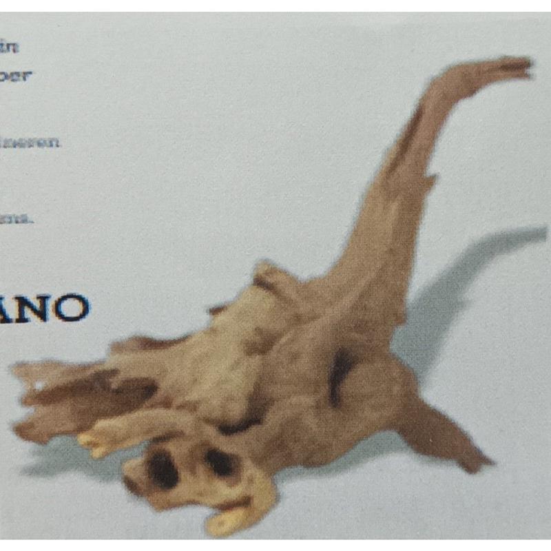 Small Guinea Wood 10-25cm A8050070