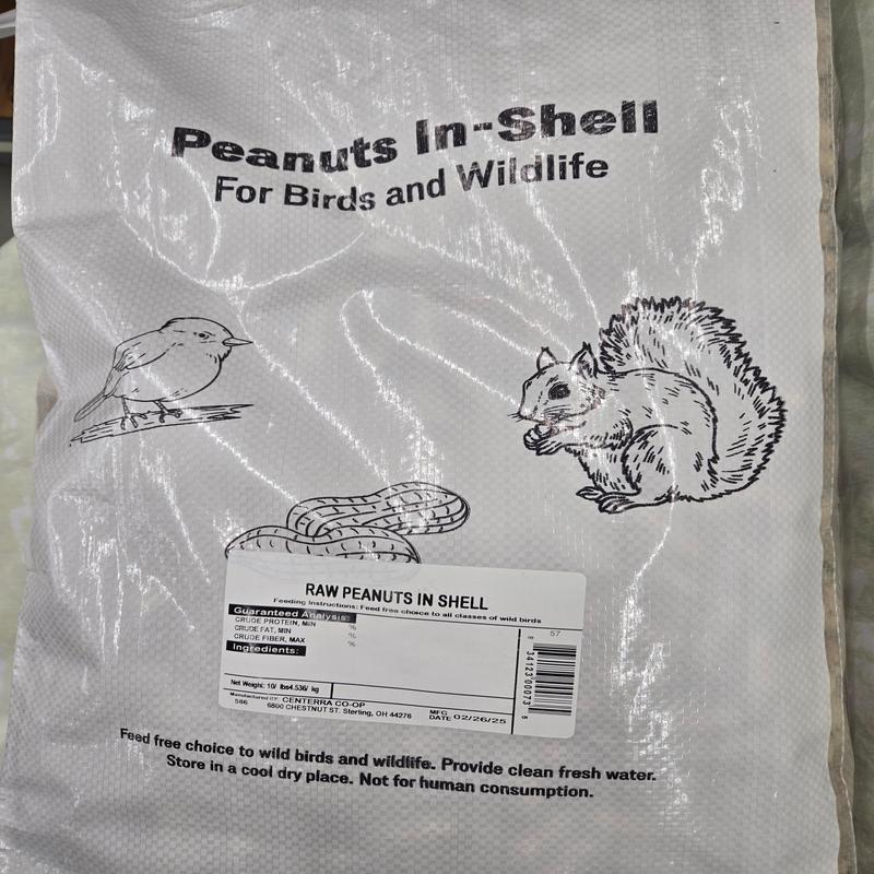10LB Peanuts In Shell