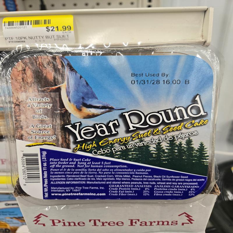 Year-Round Suet Cake