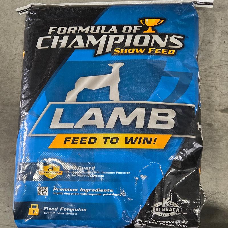 X-Factor Lamb X-Factor Lamb