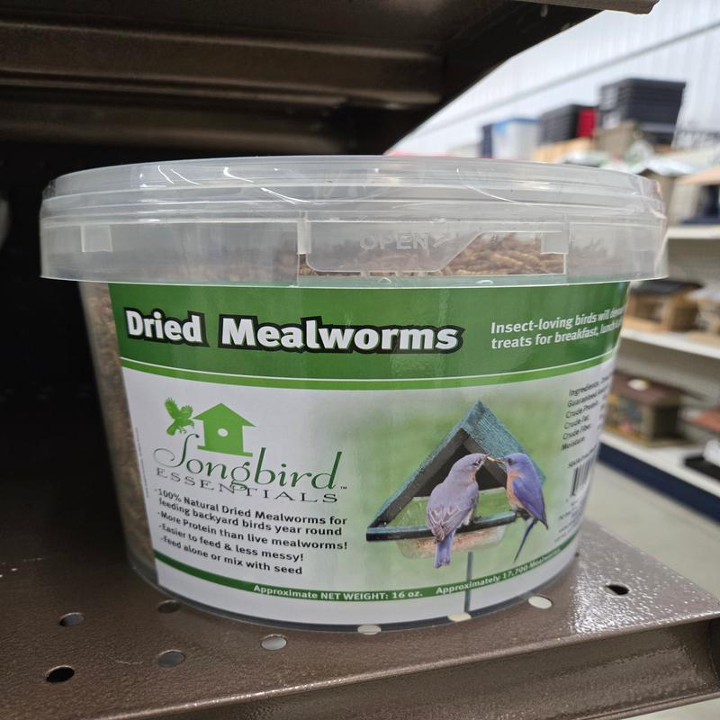 16oz. Tub Mealworms