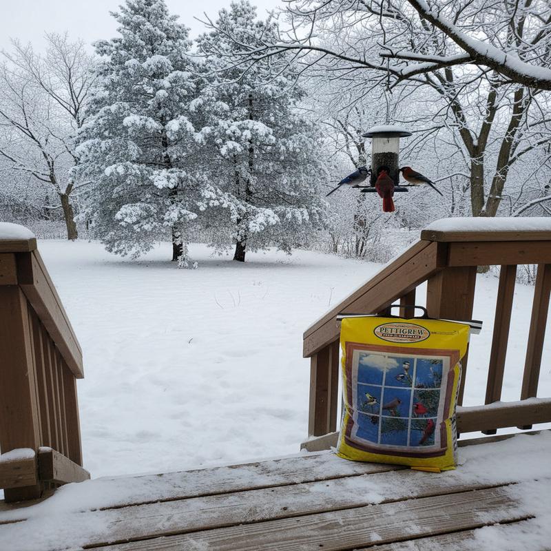 25LB Deluxe Bird Seed