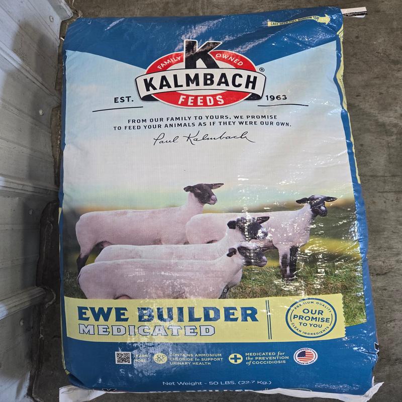 16 Ewe Builder Pellet