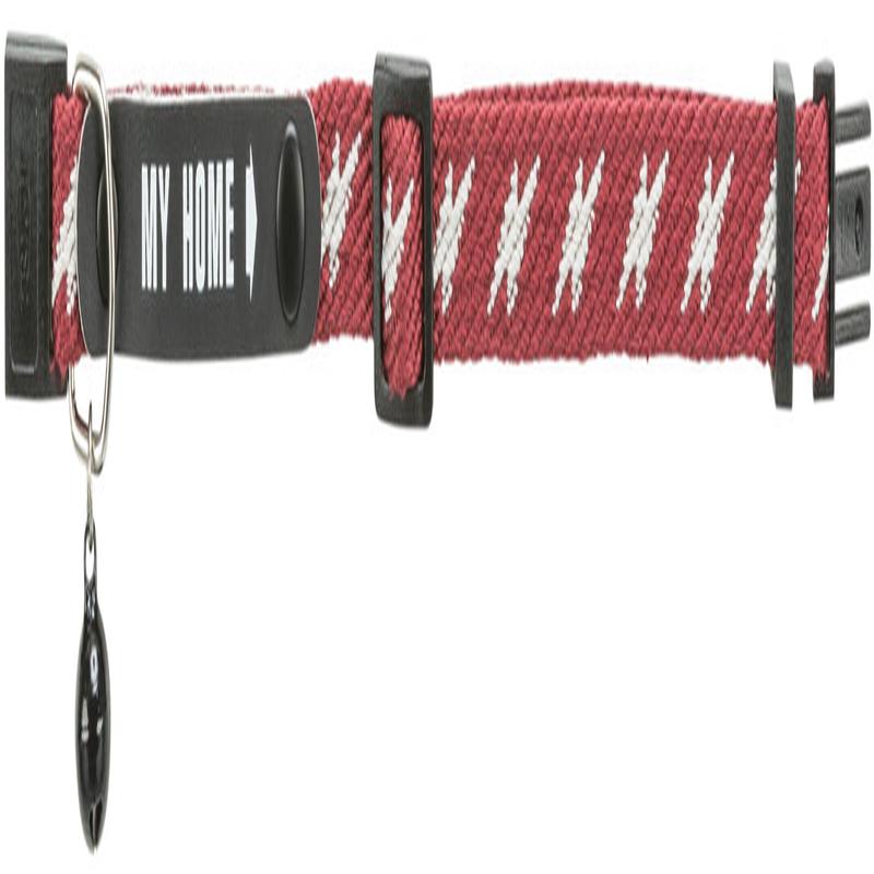 Trixie Cat collar with My Home address tag