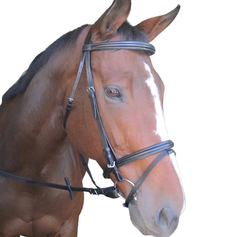 BRIDLE RAISED/PADDED BLK SOLO