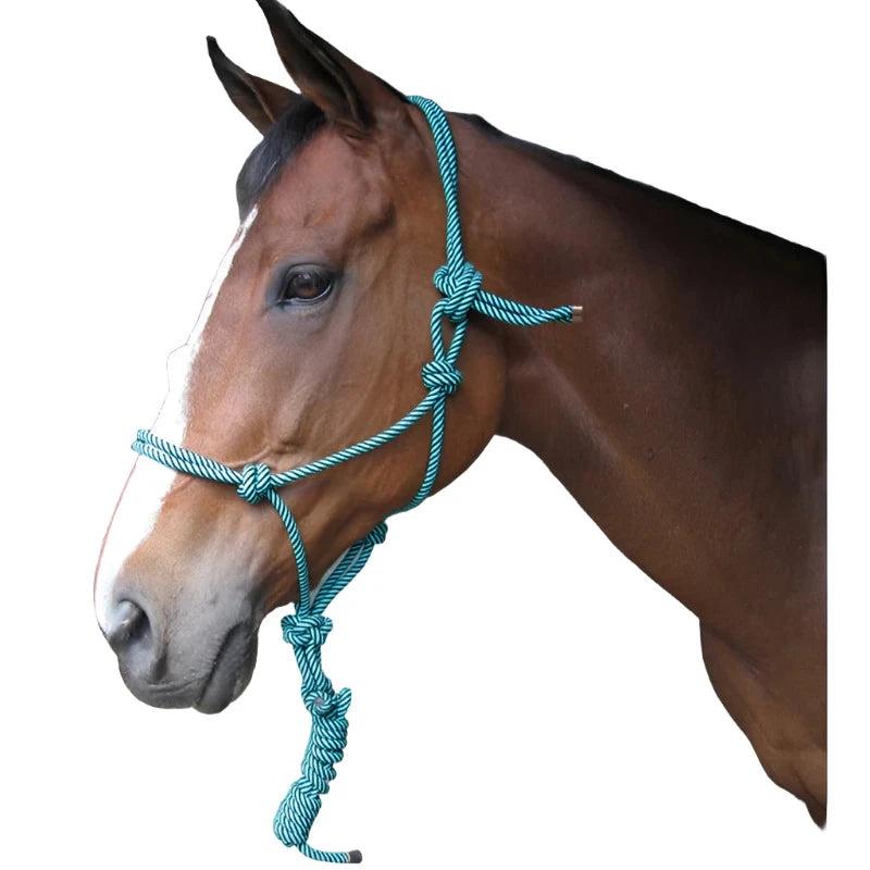 HALTER ROPE & LEAD SOLO