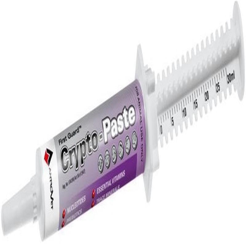 CRYPTO-PASTE 30G ANTROVET