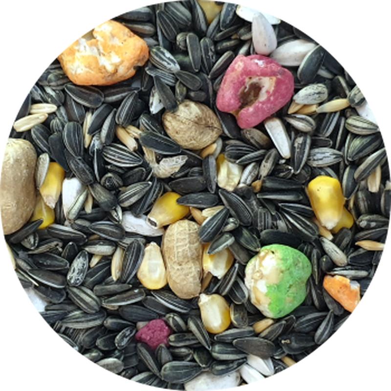 PARROT FEED MIX 5KG GOLDWING