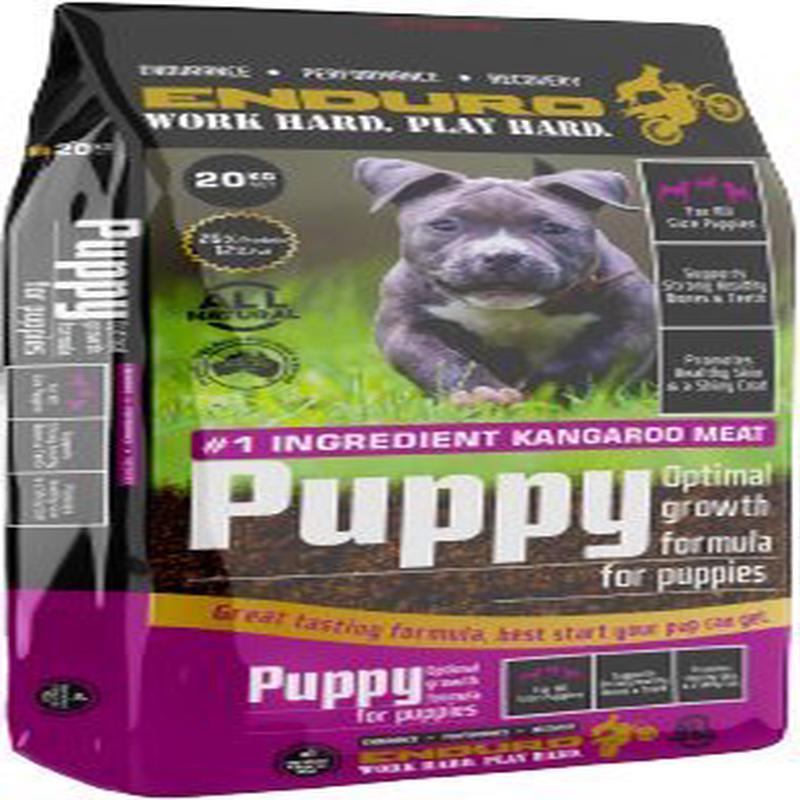 Enduro Puppy