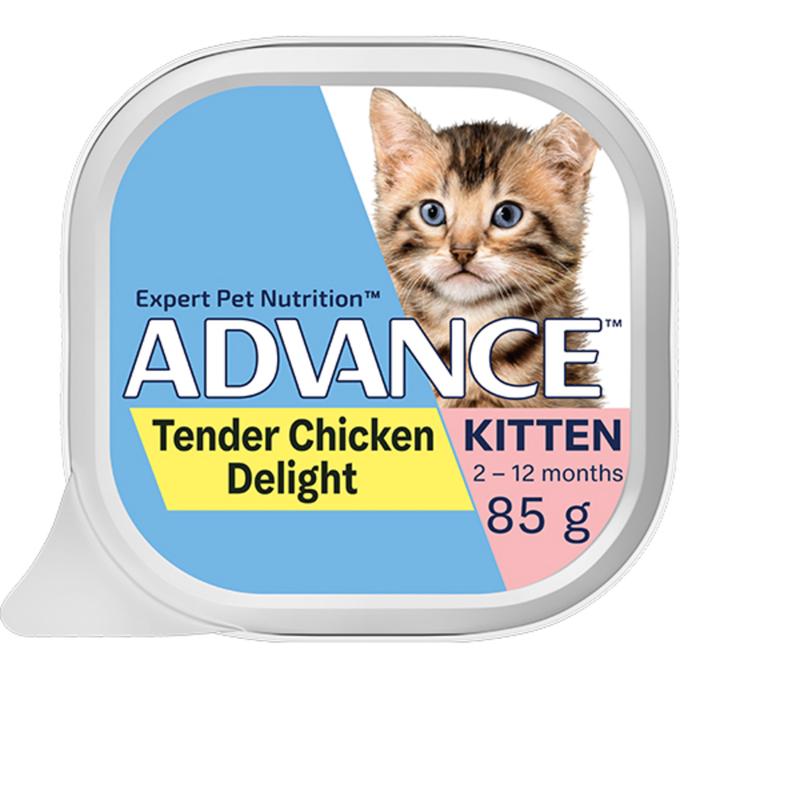 Advance Wet Kitten Food Tender Chicken Delight 85g