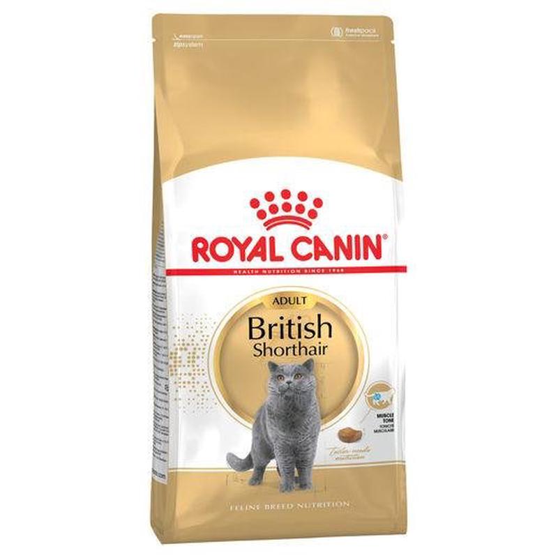 Royal Canin Dry Cat Food British Shorthair