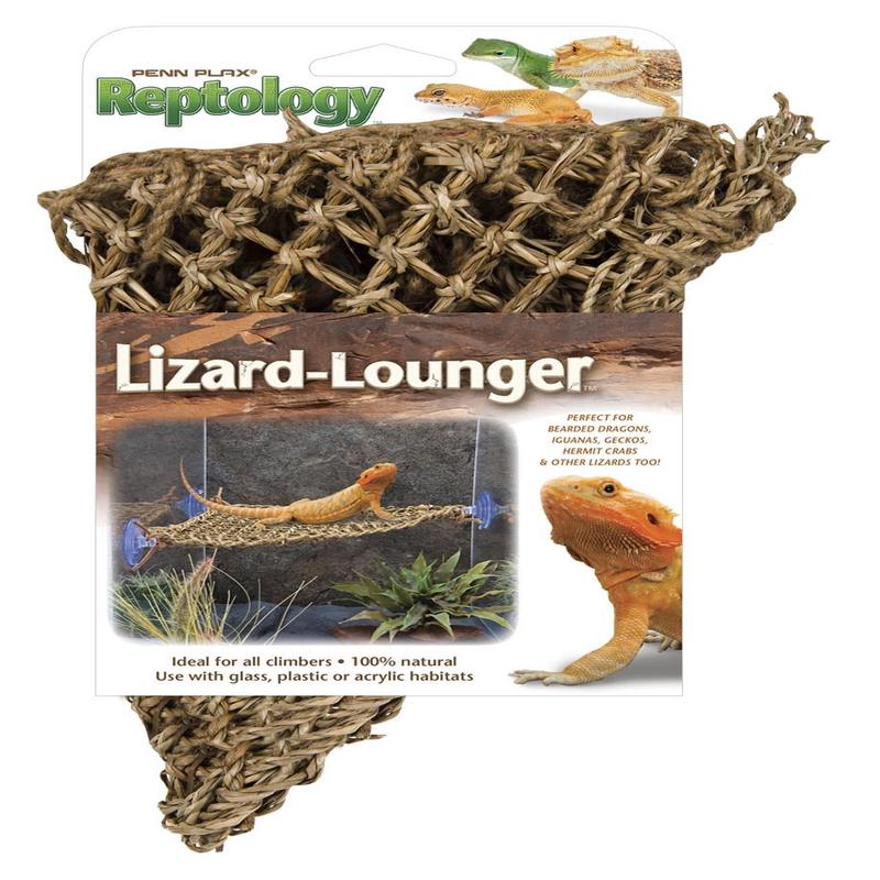 Lizard Loungers Corner