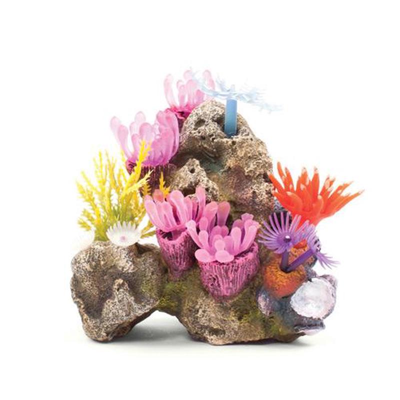 Kazoo Soft Coral Garden Rock Small