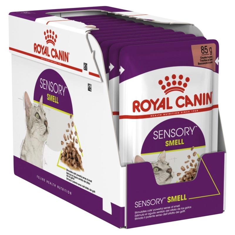 Royal Canin Wet Cat Food Sensory Smell Gravy 12x85g