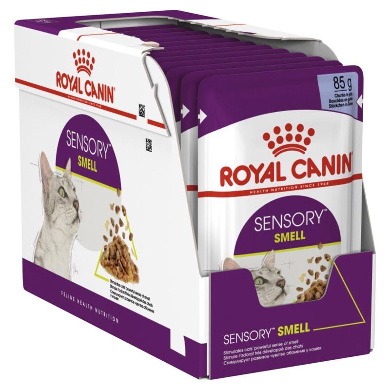 Royal Canin Wet Cat Food Sensory Smell Jelly 12x85g